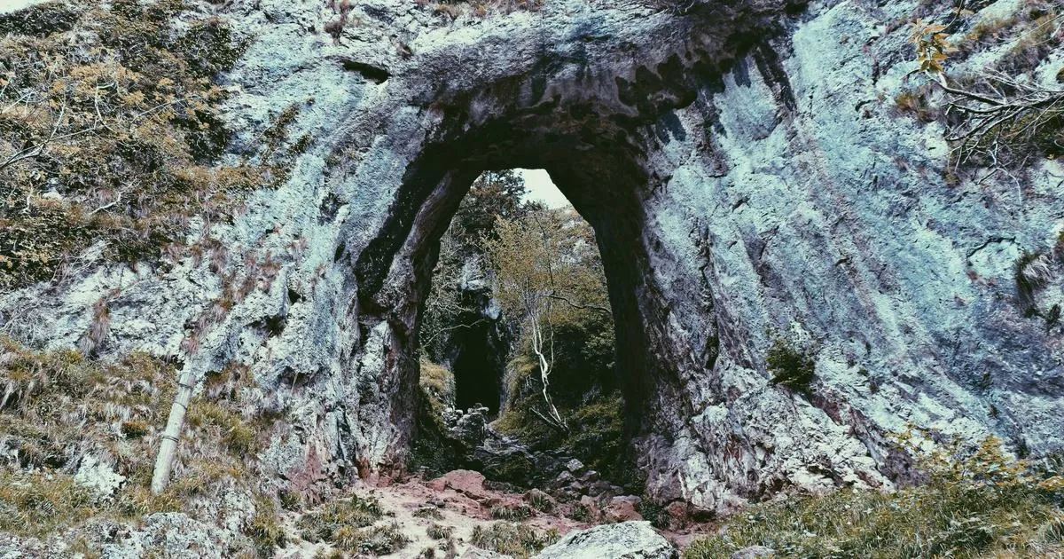 Accueil